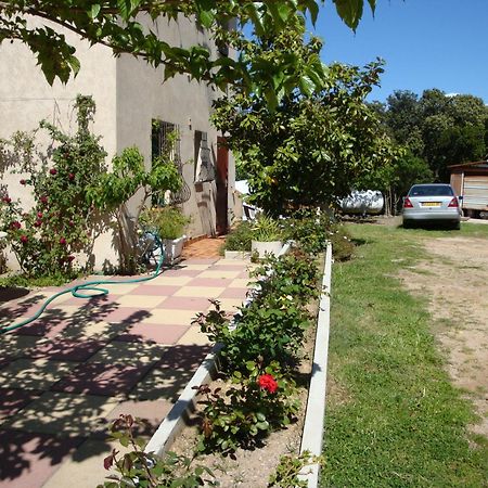 Sole E Mare Hotel Galeria  Exterior photo